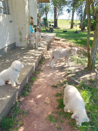 Opinii despre Oro's Resto-Pub în Rivera - Gastronomía y hostelería