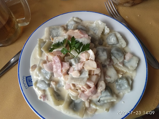 El Mesón del Plaza - Gastronomía y hostelería