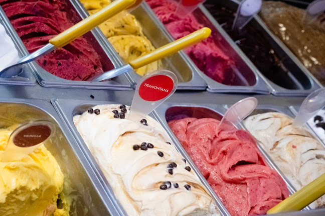 Opinii despre Sassari El Pinar în Ciudad de la Costa - Gastronomía y hostelería