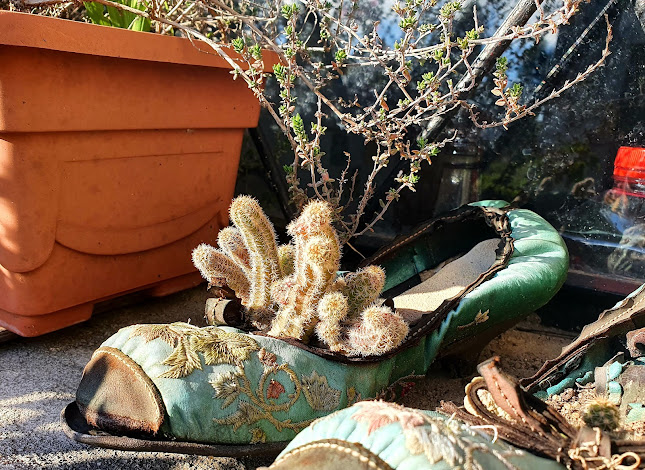 Comentarii opinii despre La cocina de Ana. Reservar