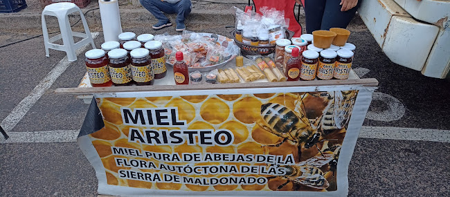 Feria Dominical de San Carlos