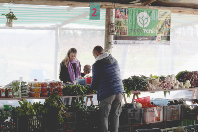 Comentarii opinii despre Feria Organica Chacra Melilla