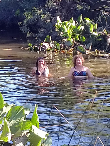 Opinii despre Comidas Al Paso Camio De Los Argentinos în Mercedes - Gastronomía y hostelería