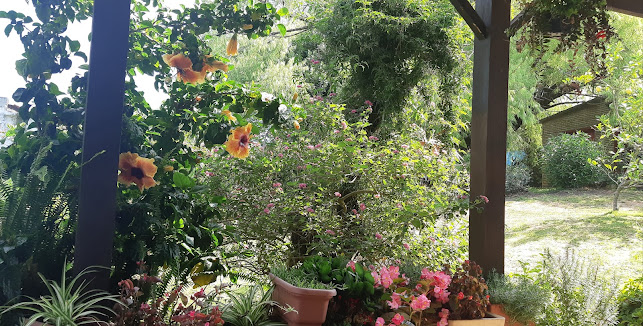 Comentarii opinii despre Pizzeria Manuela