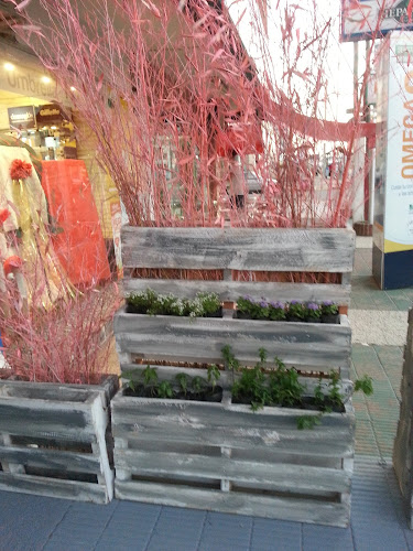 23W7+MF4, Av Francia y Lenzina, Av. Francisco Salazar, 20100 Punta del Este, Departamento de Maldonado