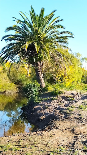Lo de Caroso - Gastronomía y hostelería