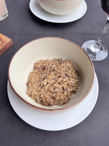 Pistatxofusión - Montevideo