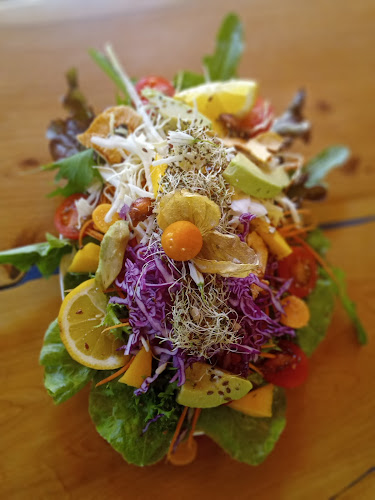 Raíz Cocina Saludable - Gastronomía y hostelería