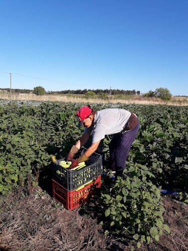 Feria Organica Chacra Melilla - Montevideo