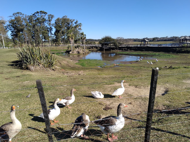 L Y L Delicias - Rivera