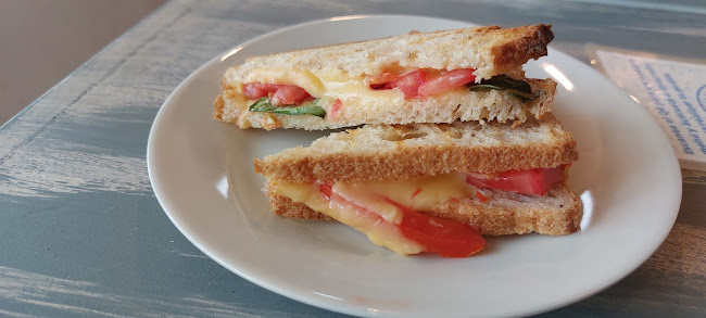 Lupinus - Fray Bentos