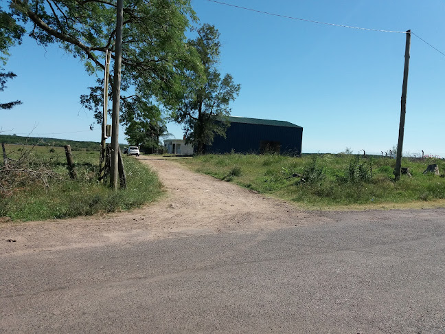 Comentarii opinii despre Galpon diego