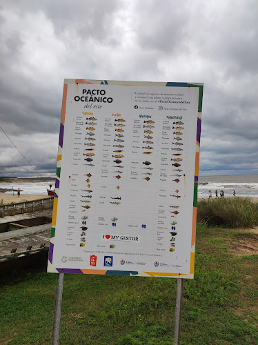 Frente al destacamento de Prefectura, 27204 Punta del Diablo, Departamento de Rocha