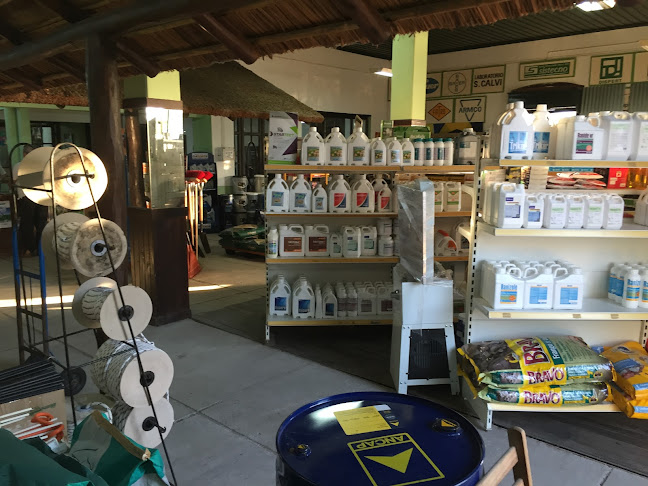 Bvar. Artigas 450, 45100 Paso de los Toros, Departamento de Tacuarembó