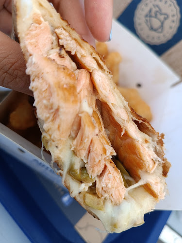 Ártico - Punta del Este