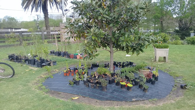 Comentarii opinii despre Caffe vivero motivos