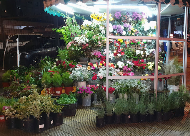 Av. Brasil, 11300 Montevideo, Departamento de Montevideo