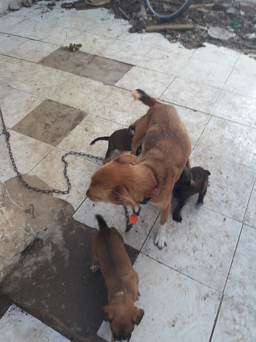 Opinii despre Pizeria La Familia în Villa Crespo y San Andrés - Gastronomía y hostelería