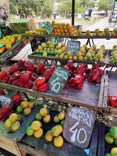 Feria De Villa Biarritz - Montevideo