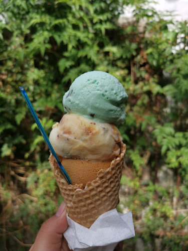 Comentarii opinii despre Chelato La Pedrera