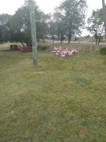 Las Calandrias - Gastronomía y hostelería