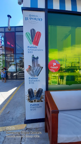 Gelatería Il Porto - Helados artesanales - Gastronomía y hostelería