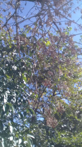 Casa de Lucas - Durazno