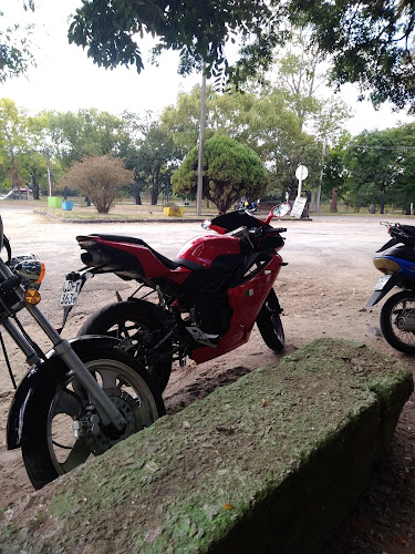 Lo de Porota - Gastronomía y hostelería