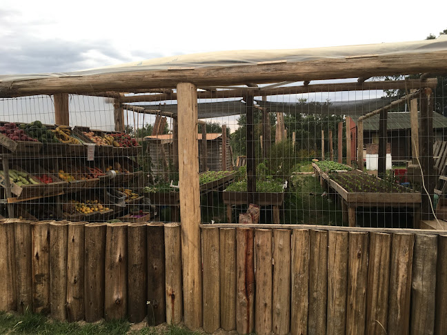 Opinii despre Almacén "Lo de Carlitos" în Rocha - Gastronomía y hostelería