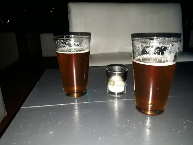 Jardín Cervecero Pinar