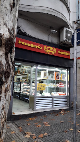 Comentarii opinii despre Panadería y Confitería Calo