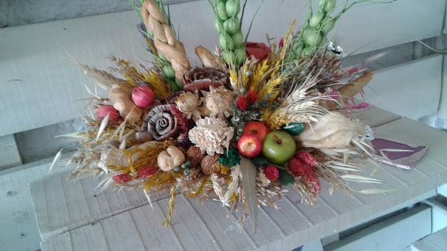 San Fernando Ciudad Del Plata - Ciudad del Plata