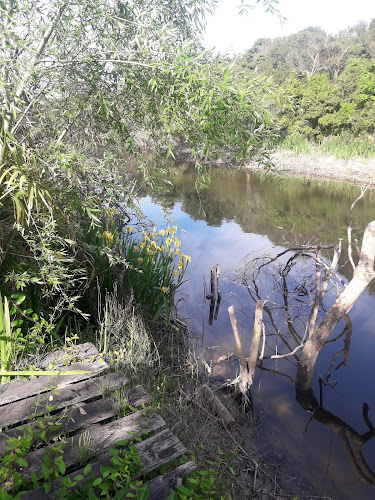 Lo de Santi Pizzas (ex bar Orlando) - Gastronomía y hostelería