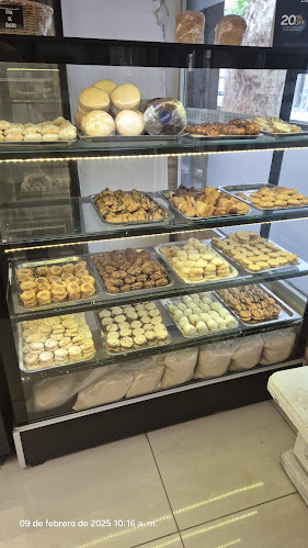 Claudio Williman 528, 11300 Montevideo, Departamento de Montevideo