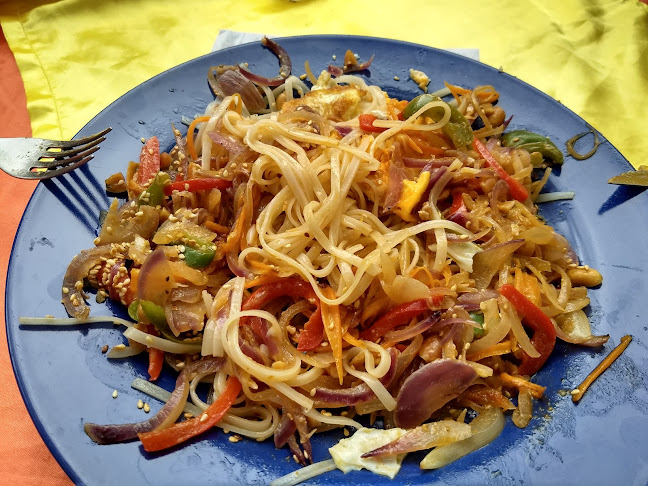 Ave Chile, 20200 Punta Negra, Departamento de Maldonado