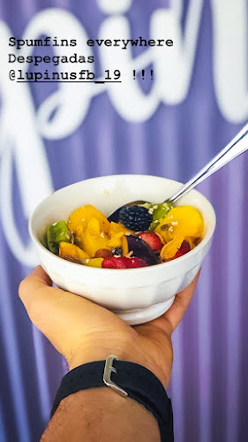 Lupinus - Fray Bentos