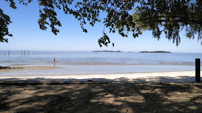 Comentarii opinii despre Doña Matilde