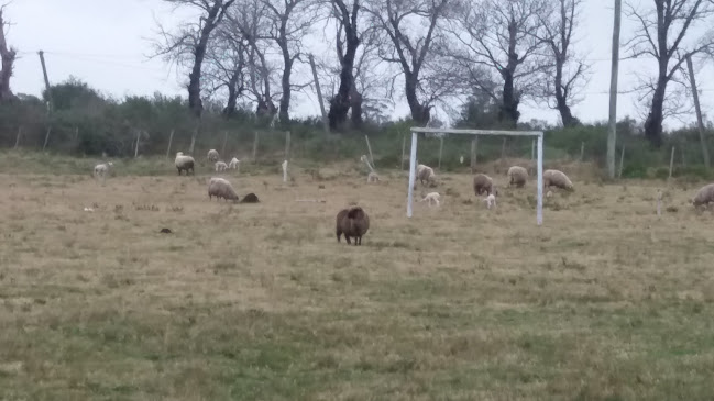 Opinii despre Las Calandrias în Canelones - Gastronomía y hostelería