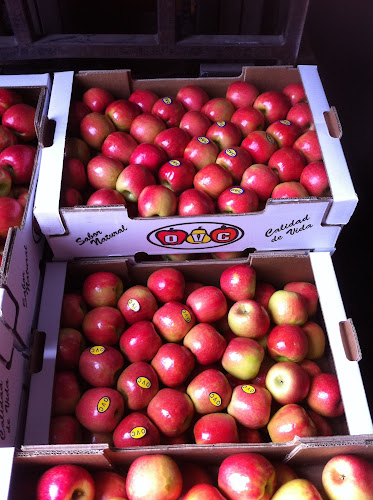 Establecimiento OVC - Gastronomía y hostelería