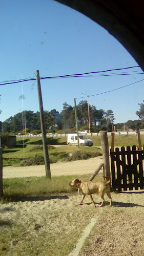 Comentarii opinii despre Pizzeria Los Sandes