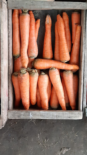Opinii despre Frutas & Hortalizas "NAHUEL" în Montevideo - Gastronomía y hostelería