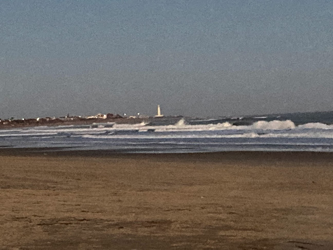 Comentarii opinii despre Puerto viejo