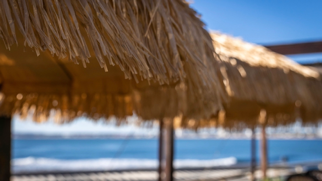 Opinii despre Chill Out Puerto în Punta del Este - Gastronomía y hostelería