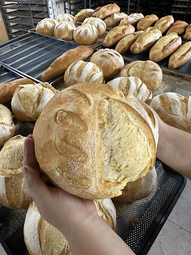 Panadería Y Confitería DANIPAN - Gastronomía y hostelería