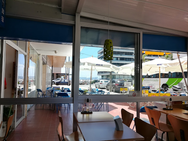 Comentarii opinii despre El Milagro