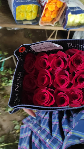 COFLORAL (mercado de flores)