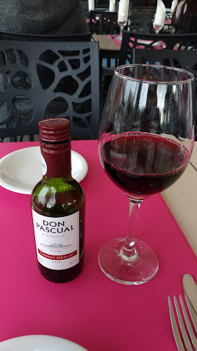 Comentarii opinii despre Moby Dick