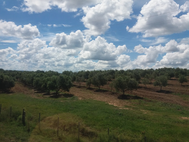 99GR+XXP, 20400 Garzón, Departamento de Maldonado, Uruguay