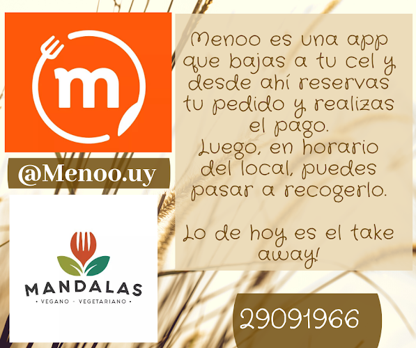 Mandalas Vegano-Vegetariano - Gastronomía y hostelería