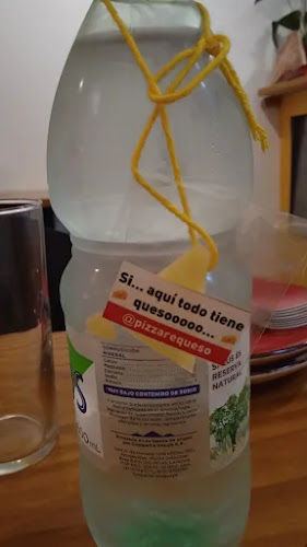 Requeso La Pizza con mas Queso - Gastronomía y hostelería